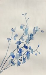 Shadow 145, 15 x 20"