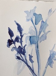 Shadow 159, 7.5 x 11"