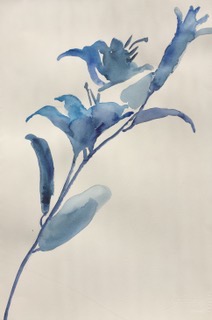 Shadow 160, 15 x 20"